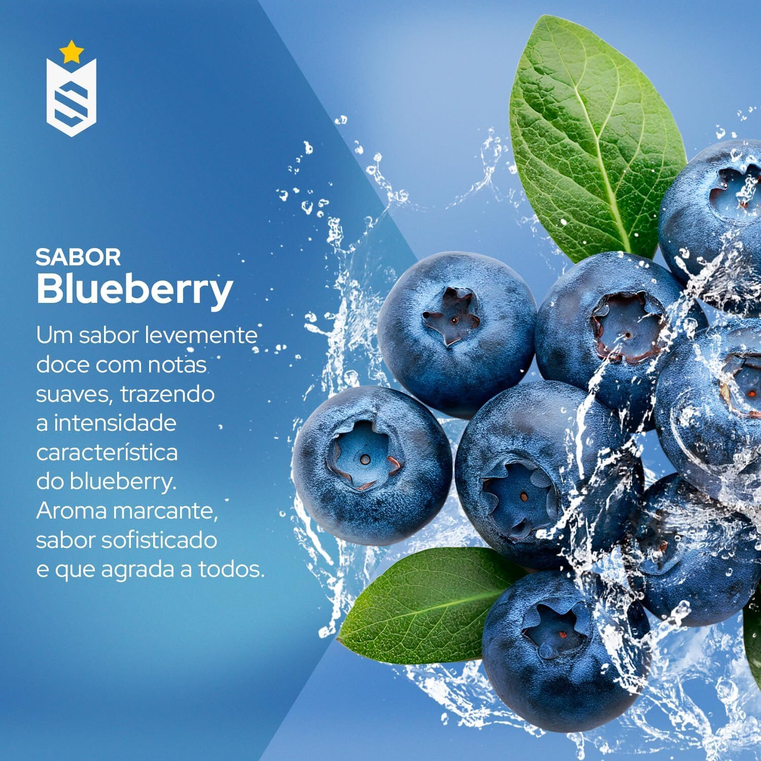Soldiers Nutrition - Pré-Treino Evolution Pré Workout 300g - (Blueberry) - Imagem 2